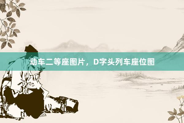 动车二等座图片，D字头列车座位图