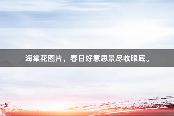 海棠花图片，春日好意思景尽收眼底。