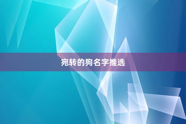 宛转的狗名字推选