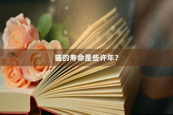猫的寿命是些许年？